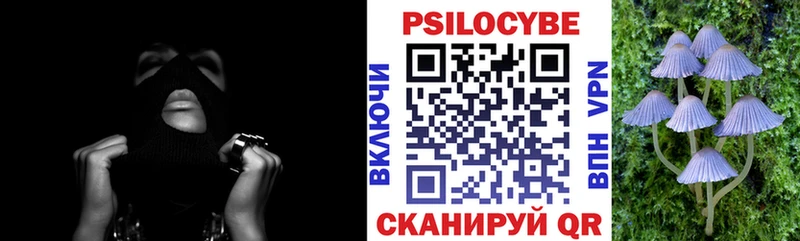 Псилоцибиновые грибы Magic Shrooms  Кострома 