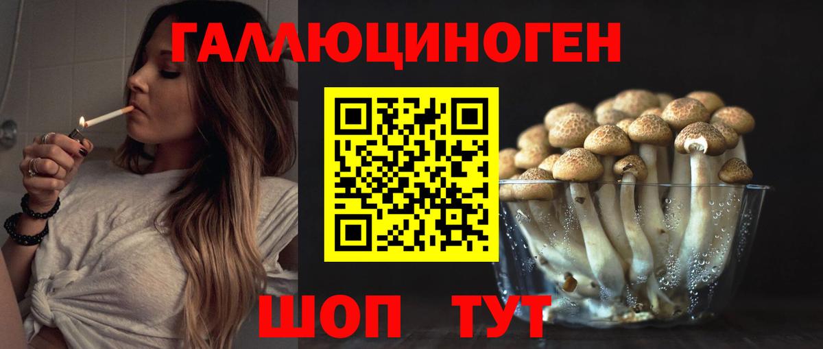 Кострома  Псилоцибиновые грибы мухоморы  Вход с VPN 